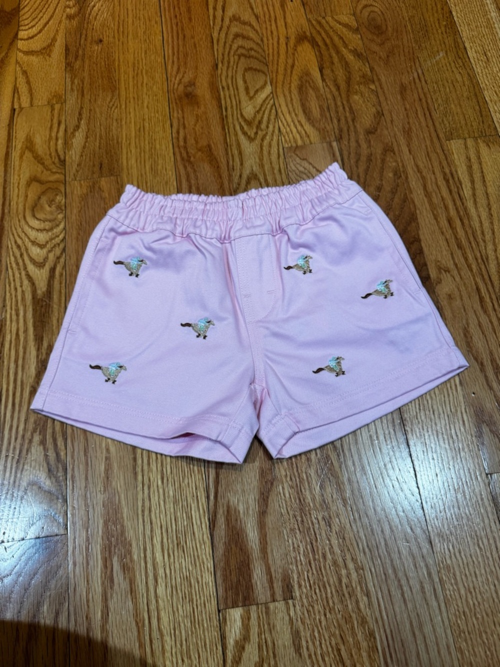 The Beaufort Bonnet Company Pink Embroidered horse Shorts